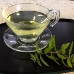 Making Loose Leaf Tea - clear tea cup of herbal tea with sprig next to saucer