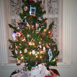 A small Christmas tree decorated with Mardi Gras beads.