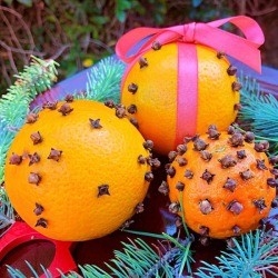 How to Make Orange Clove Pomanders - three variations resting on a bed of evergreen branches