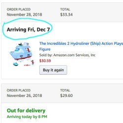 A screenshot of some purchases made online and when they will arrive.