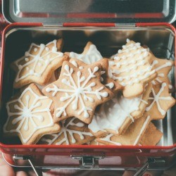 Gingerbread cookies in a tin box.