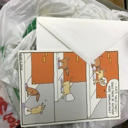 A bag of greeting cards for certain occasions.
