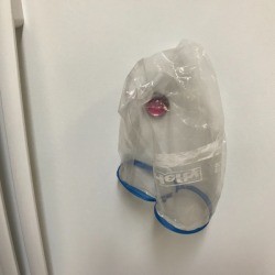 A used plastic bag that has been washed and is drying.