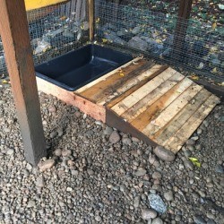 Small Duck Pond