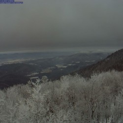 A snow covered forest high up on a mountain.