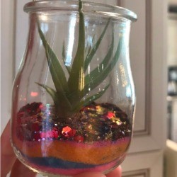 Air Plant with Layered Sand and Glitter 