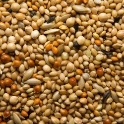 A variety of birdseed.