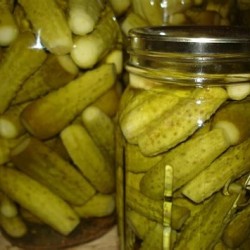 Jars of pickles in a briny juice.