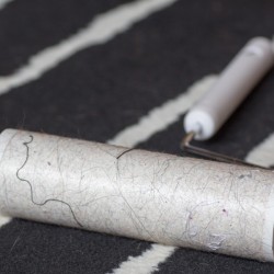 A lint roller on a carpeted area.