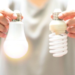 A LED and CLF lightbulb held side by side.