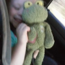 Identifying a Stuffed Frog