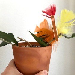 Clothespin Chicken Plant Decoration - houseplant with the chicken clipped onto a stem