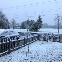 Waking up to snow on a Monday morning.