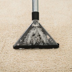Carpet being shampooed. 