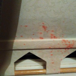 Removing Spray Ink on Roller Blinds - red ink on window blind