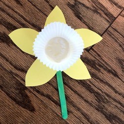 Making a Paper Daffodil - finished flower