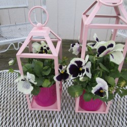 Recycled Lanterns As Planters - planted pots on garden table