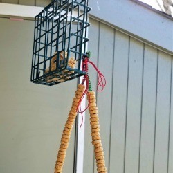 Cereal Treats for Backyard Birds - hanging from a suet feeder
