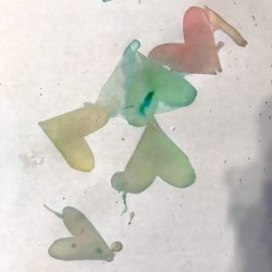Crafting Supplies from Baking Soda and Vinegar Experiment - heart shapes on white paper from dyed hearts after experiment completed
