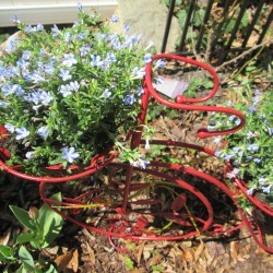 Reviving An Old Outdoor Planter - add your plants