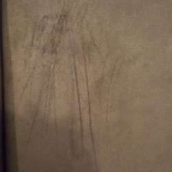 Repairing Scratches on a Microfiber Couch - scratches on microfiber upholstery