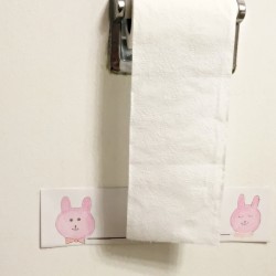 An indicator on the wall under a roll of toilet paper, to denote the limit to use.
