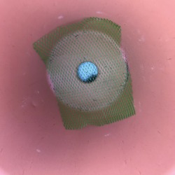 Pot Drainage from Garlic Mesh - piece of mesh packaging in the bottom of a clay pot