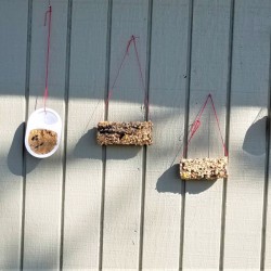 Bird Feeders Part 2 - hanging feeders