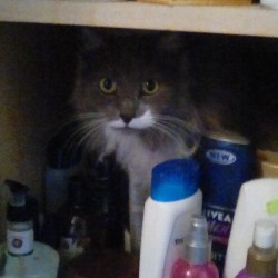 Watcha doin? (Fuzzy)