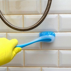 Cleaning mold from a tiled wall in a bathroom.