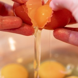 Eggs being cracked into a bowl.