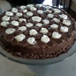 A single layer chocolate cake