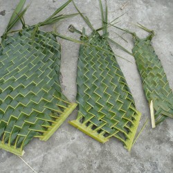 Weaving Coconut Leaf Plates - three plates of differing sizes